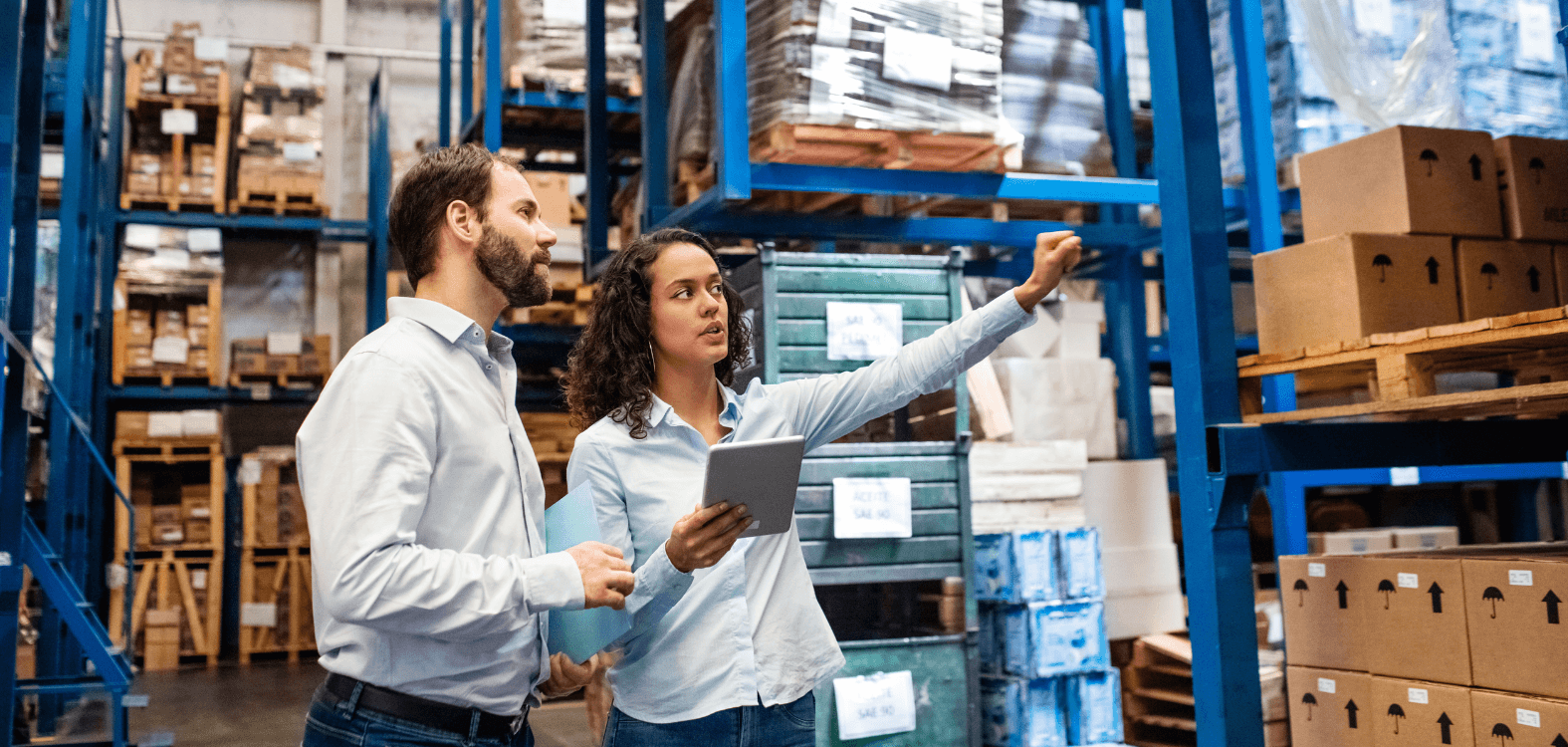Mastering Inventory Management Software: a Step-by-step Guide